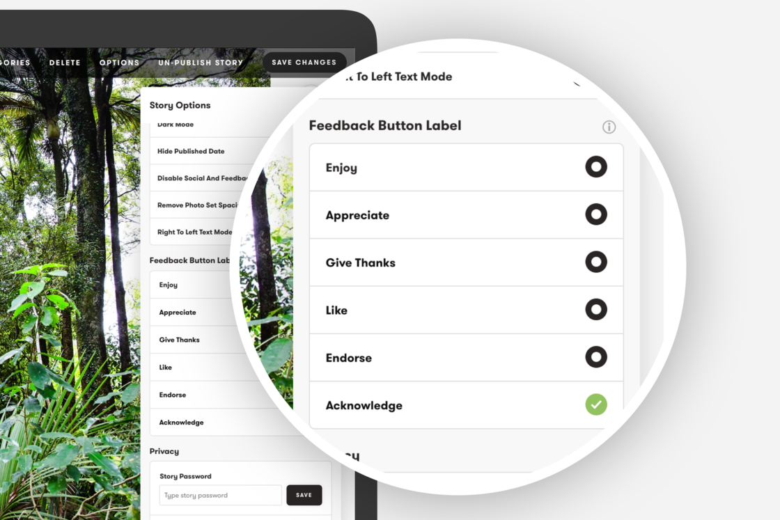 feedback ui.png