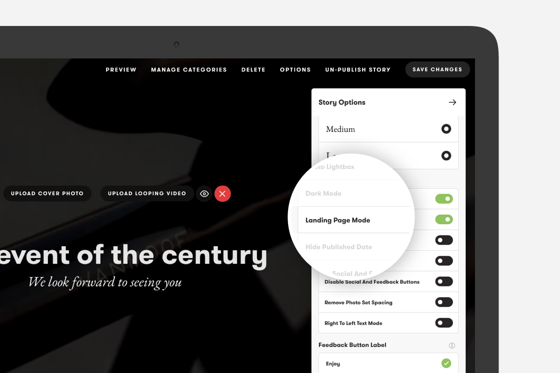 Landing page options.png